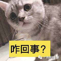 男子科目一考試作弊被抓現(xiàn)行 場(chǎng)面有點(diǎn)辣眼睛……